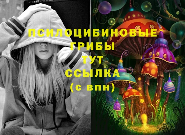 спиды Алексеевка
