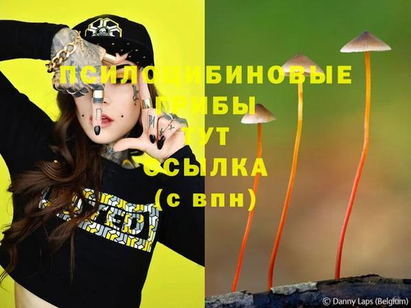спиды Алексеевка