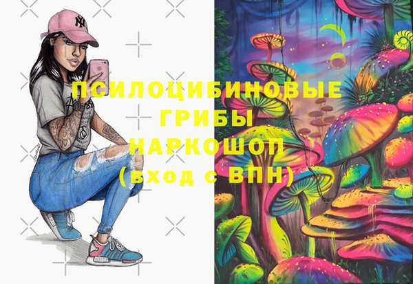 герыч Алзамай