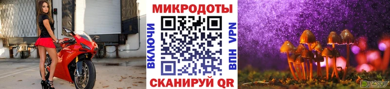 мориарти официальный сайт Когалым mega tor Псилоцибиновые грибы мухоморы купить закладку